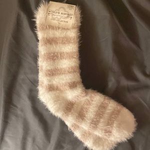 Worlds softest socks
